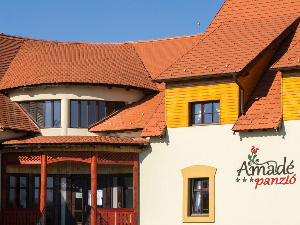 Amade Pension & Restaurant Siculeni Eksteriør bilde